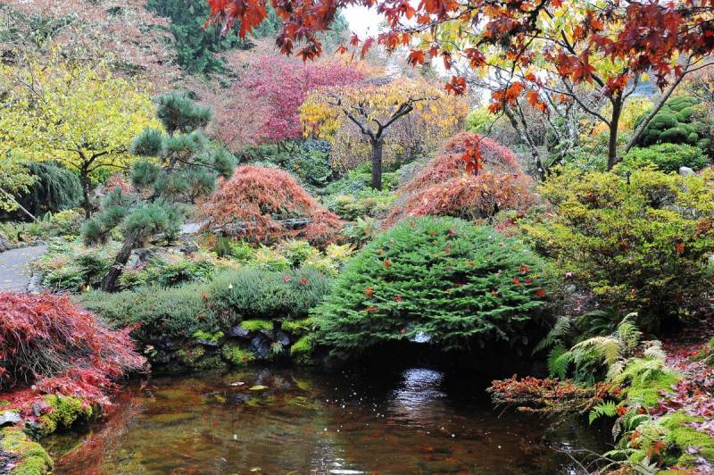 Papermoon Fototapete Teich im Garten Papermoon Fototapete Teich im Garten von Papermoon