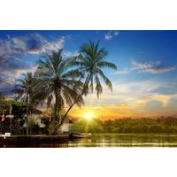 Papermoon Fototapete "Tropischer Palmen-Sonnenaufgang" von Papermoon