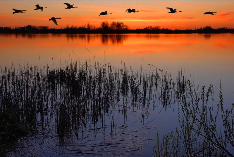 Papermoon Fototapete VLIES-Tapete Premium "Abenddämmerung am See", Kleister KOSTENLOS, reduziert, 3D-Effekt, restlos trocken abziehbar, (868), Wandtapete Bild Dekoration Wand-Dekor Motiv Tapete Poster von Papermoon