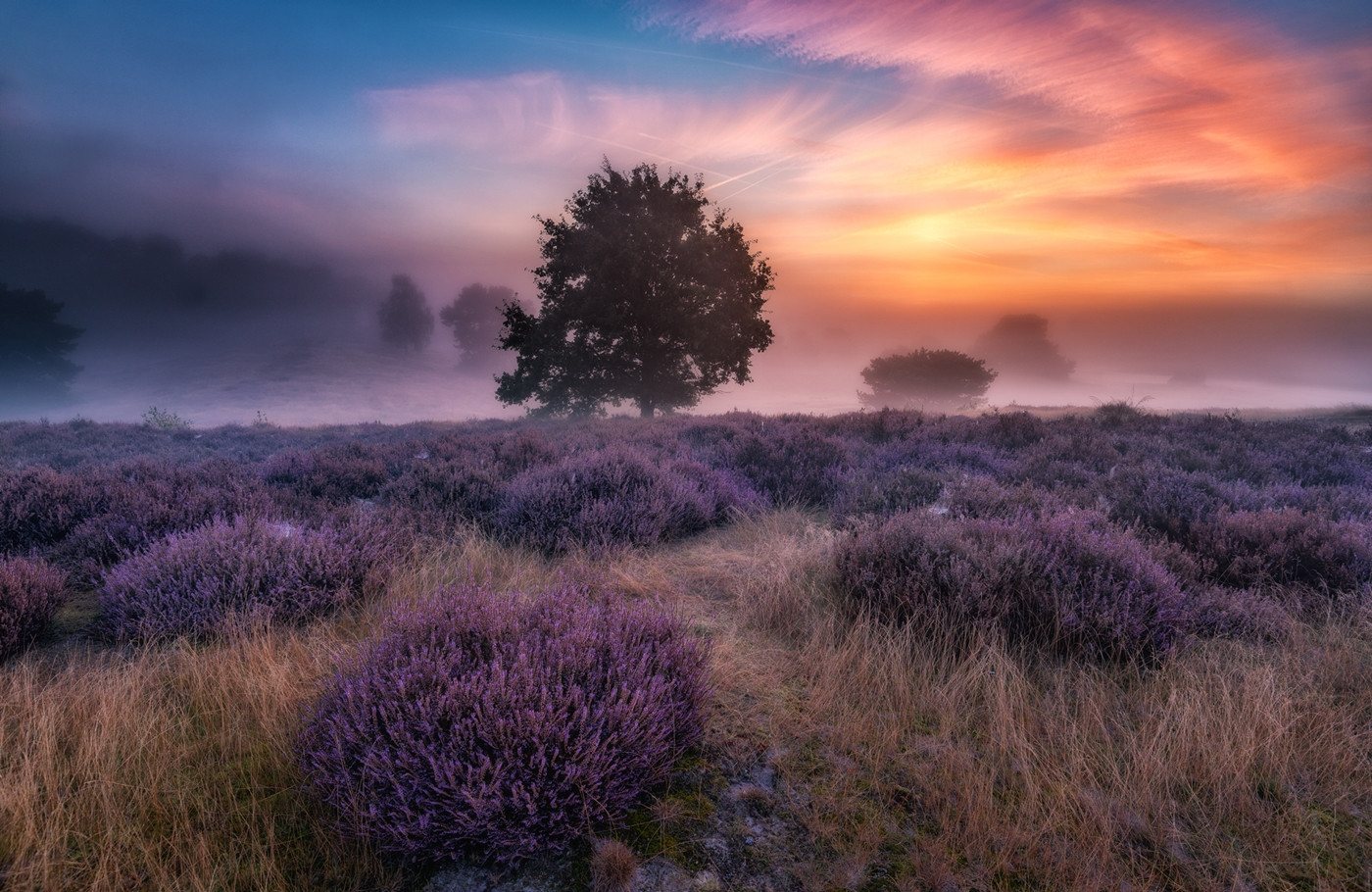 Papermoon Fototapete VLIES-Tapete Premium "Design Foto Landschaft, Tiere,", Kleister KOSTENLOS, reduziert, 3D-Effekt, restlos trocken abziehbar, (7831), Wandtapete Bild Dekoration Wand-Dekor Motiv Tapete Poster von Papermoon