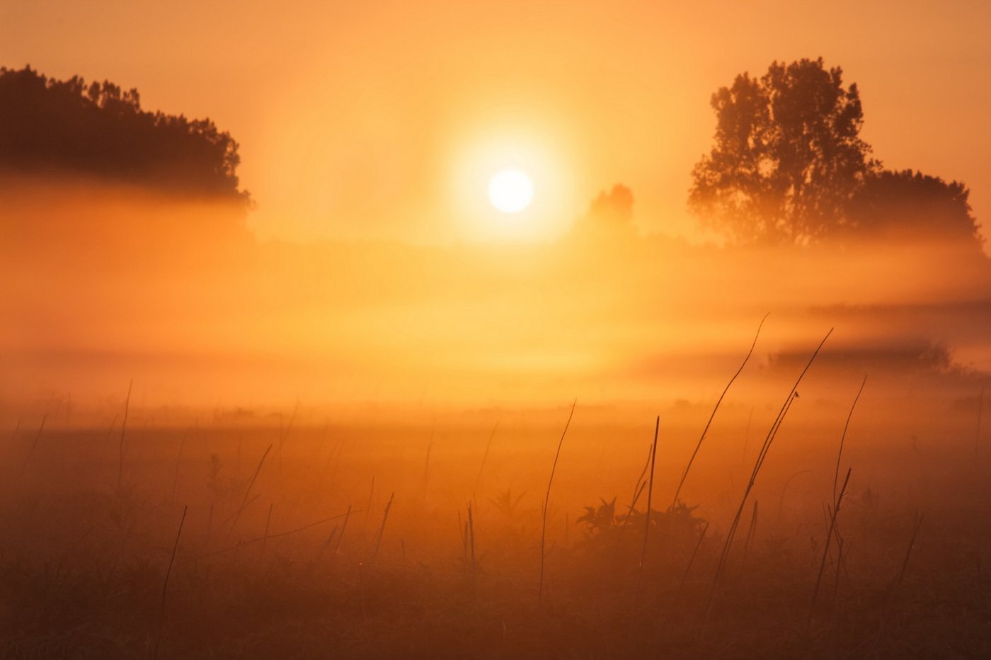 Papermoon Fototapete VLIES-Tapete Premium "Neblige Landschaft", Kleister KOSTENLOS, reduziert, 3D-Effekt, restlos trocken abziehbar, (4198), Wandtapete Bild Dekoration Wand-Dekor Motiv Tapete Poster von Papermoon