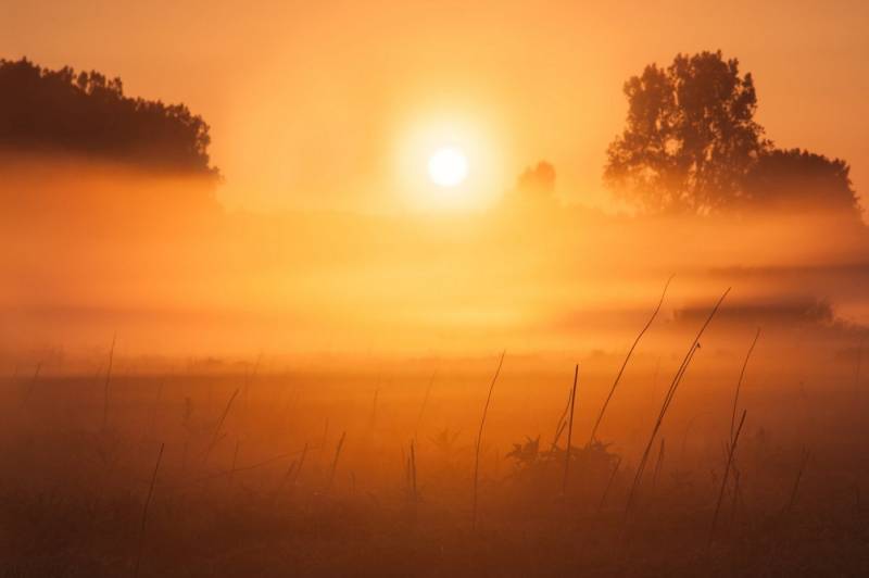 Papermoon Fototapete VLIES-Tapete Premium "Neblige Landschaft", Kleister KOSTENLOS, reduziert, 3D-Effekt, restlos trocken abziehbar, (4198), Wandtapete Bild Dekoration Wand-Dekor Motiv Tapete Poster von Papermoon