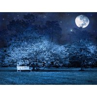 Papermoon Fototapete "VOLLMOND-PARK MOND STERNE NACHT WALD BÄUME MYSTISCH" von Papermoon