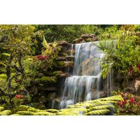 Papermoon Fototapete "WASSERFALL-FLUSS SEE WALD STEINE BLUMEN BERGE BACH XXL" von Papermoon