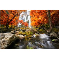 Papermoon Fototapete "WASSERFALL-HERBST BÄUME WALD NATUR LANDSCHAFT DSCHUNGEL" von Papermoon