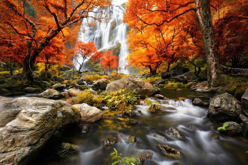 Papermoon Fototapete WASSERFALL-HERBST BÄUME WALD NATUR LANDSCHAFT DSCHUNGEL von Papermoon