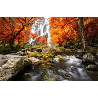 Papermoon Fototapete "WASSERFALL-HERBST WALD BÄUME STEINE FLUSS LANDSCHAFT" von Papermoon