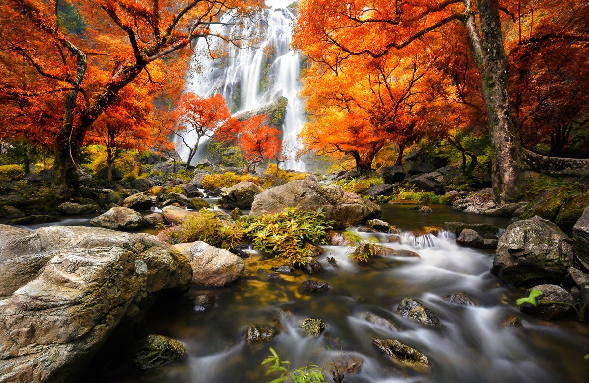 Papermoon Fototapete WASSERFALL-HERBST WALD BÄUME STEINE FLUSS LANDSCHAFT von Papermoon