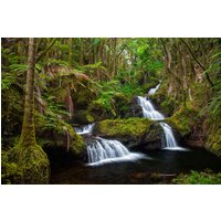 Papermoon Fototapete "WASSERFALL-MAGISCHER WALD BÄUME FLUSS SEE STEINE BLUMEN" von Papermoon