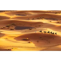 Papermoon Fototapete "Wüste" von Papermoon
