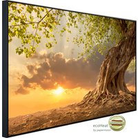 Papermoon Infrarotheizung "Alter Baum im Sonnenuntergang" sehr angenehme Strahlungswärme Papermoon Infrarotheizung "Alter Baum im Sonnenuntergang" sehr angenehme Strahlungswärme von Papermoon