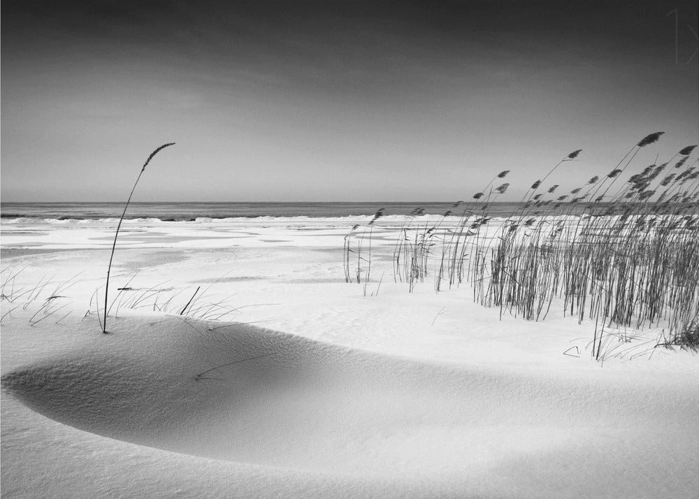 Papermoon Leinwandbild "Orchestra" von Reinis Cīrulis, 250 g/m² Galeriedruck, Auf Holzkeilrahmen, brillante UV-beständige Farben, Made in Germany Papermoon Leinwandbild "Orchestra" von Reinis Cīrulis, 250 g/m² Galeriedruck, Auf Holzkeilrahmen, brillante UV-beständige Farben, Made in Germany von Papermoon