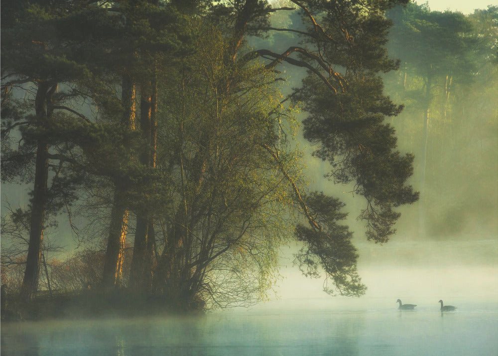 Papermoon Poster "Dutch fen" von Anton van Dongen, 250 g/m² Galeriedruck, Mit oder ohne Rahmen, brillante UV-beständige Farben, Made in Germany Papermoon Poster "Dutch fen" von Anton van Dongen, 250 g/m² Galeriedruck, Mit oder ohne Rahmen, brillante UV-beständige Farben, Made in Germany von Papermoon