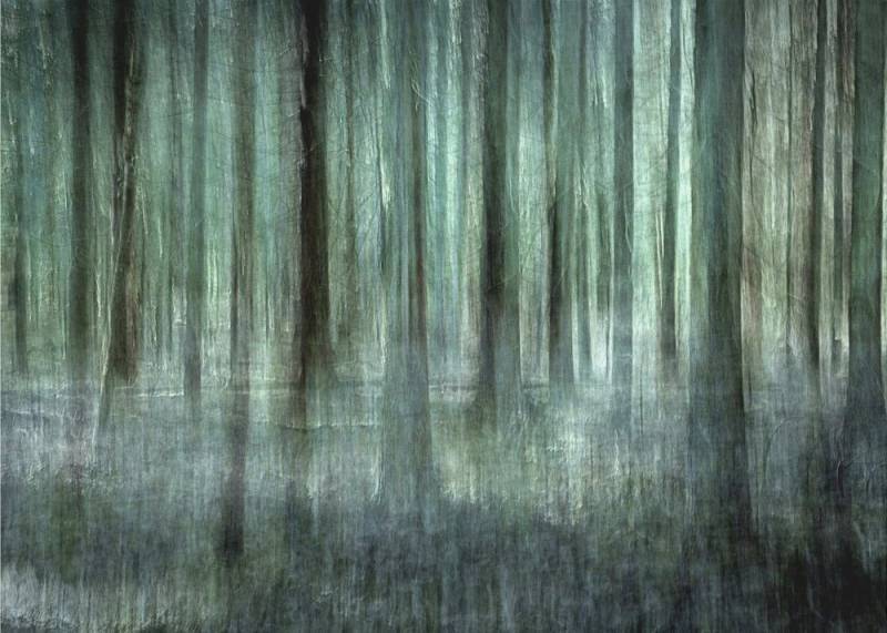 Papermoon Poster "Forest light" von Christina Sillèn, 250 g/m² Galeriedruck, Mit oder ohne Rahmen, brillante UV-beständige Farben, Made in Germany von Papermoon