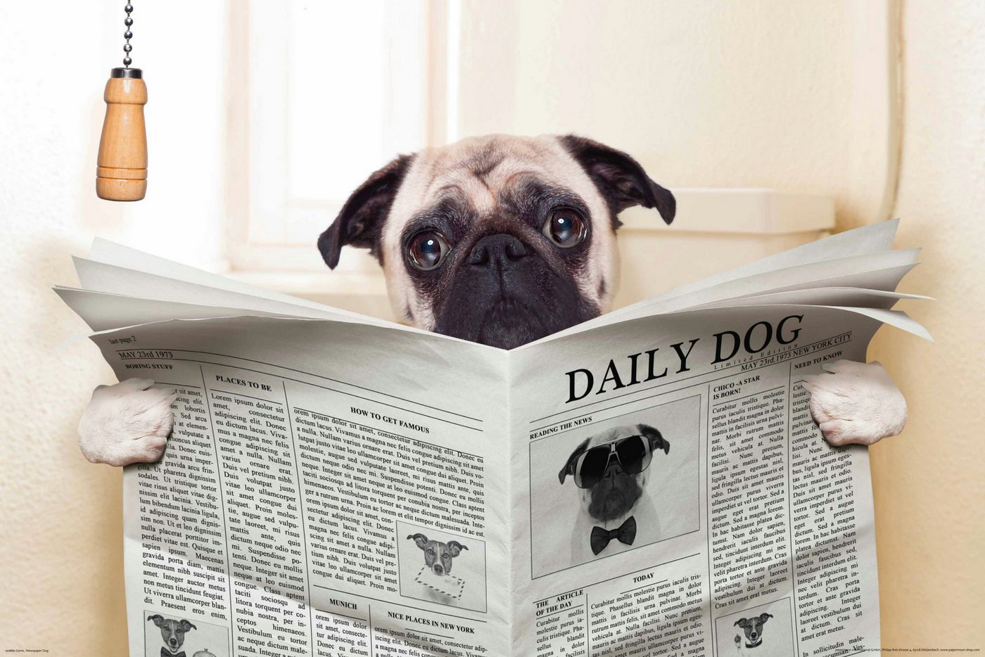 Papermoon Poster POSTER Nr.055 NEU Comic, Newspaper Dog, 61 X 91,5 CM, genormte Postergröße für Rahmen, Bild Dekoration Wanddeko Motiv Tapete Papermoon Poster POSTER Nr.055 NEU Comic, Newspaper Dog, 61 X 91,5 CM, genormte Postergröße für Rahmen, Bild Dekoration Wanddeko Motiv Tapete von Papermoon