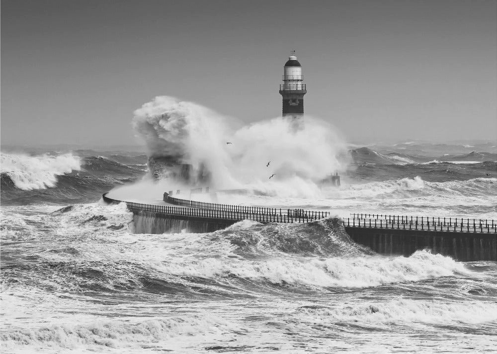 Papermoon Poster "Power of the Sea" von Daniel Springgay, 250 g/m² Galeriedruck, Mit oder ohne Rahmen, brillante UV-beständige Farben, Made in Germany Papermoon Poster "Power of the Sea" von Daniel Springgay, 250 g/m² Galeriedruck, Mit oder ohne Rahmen, brillante UV-beständige Farben, Made in Germany von Papermoon