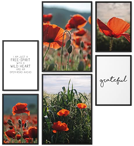 Papierschmiede® Mood Poster Set Mohnfeld, Bilder Wohnzimmer Deko Schlafzimmer, 2x 30x40cm und 4x 20x30cm, Blüten Rot Orange Natur - Wandposter ohne Rahmen von Papierschmiede