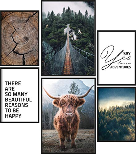 Papierschmiede® XL Mood Poster Set Wildnis, Bilder Wohnzimmer Deko Schlafzimmer, 2x DIN A2 (ca. 59x42) und 4x DIN A3 (ca. 30x42), Galloway Rind Hochland Natur Wald Holz Grün - Wandposter ohne Rahmen von Papierschmiede