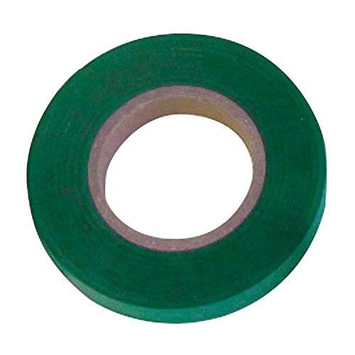 PAPILLON PVC-Klebeband 11 x 0, 26 Metros Verde von Papillon