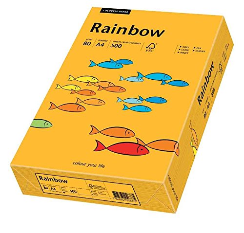 PAPYRUS Rainbow Pastell A4, 80 g qm mittelorange 500 Blatt von Papyrus