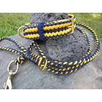 Goldgelb Und Mitternachtsblau | U Of M Paracord Hundeleine Halsband Im Set von ParacreationsUSA