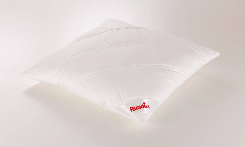 Paradies Kissen 80x80cm KORA SOFTY PLUS BIO in Baumwollgewebe Paradies Kissen 80x80cm KORA SOFTY PLUS BIO in Baumwollgewebe von Paradies