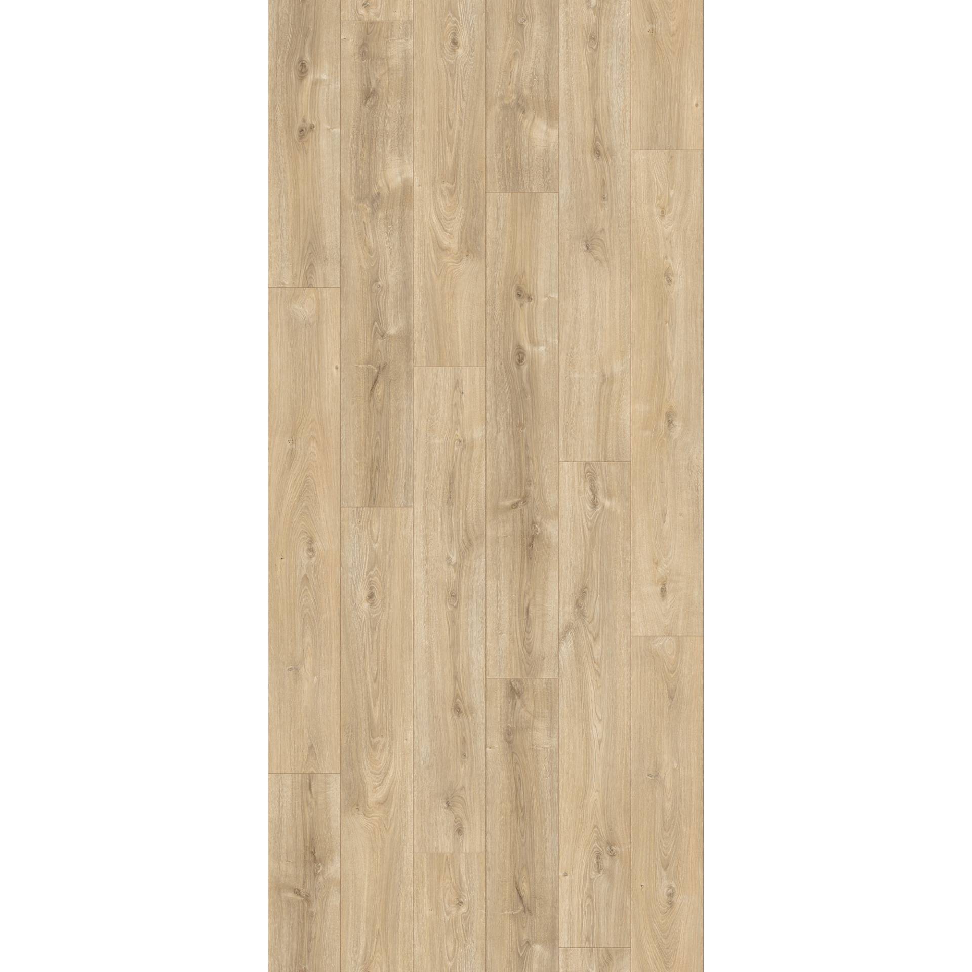 Parador Laminat 'Basic 200' Eiche Nova hell gekälkt 7 mm Parador Laminat 'Basic 200' Eiche Nova hell gekälkt 7 mm von Parador