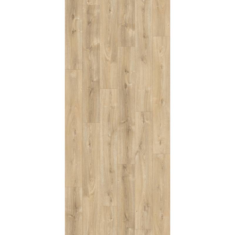 Parador Laminat 'Basic 200' Eiche Nova hell gekälkt 7 mm von Parador