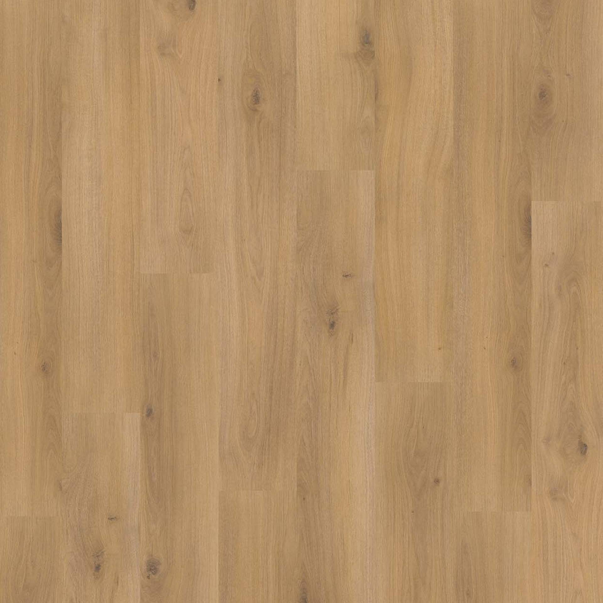 Parador Laminat 'Basic 400' Eiche Horizont Natur eichefarben 8 mm Parador Laminat 'Basic 400' Eiche Horizont Natur eichefarben 8 mm von Parador