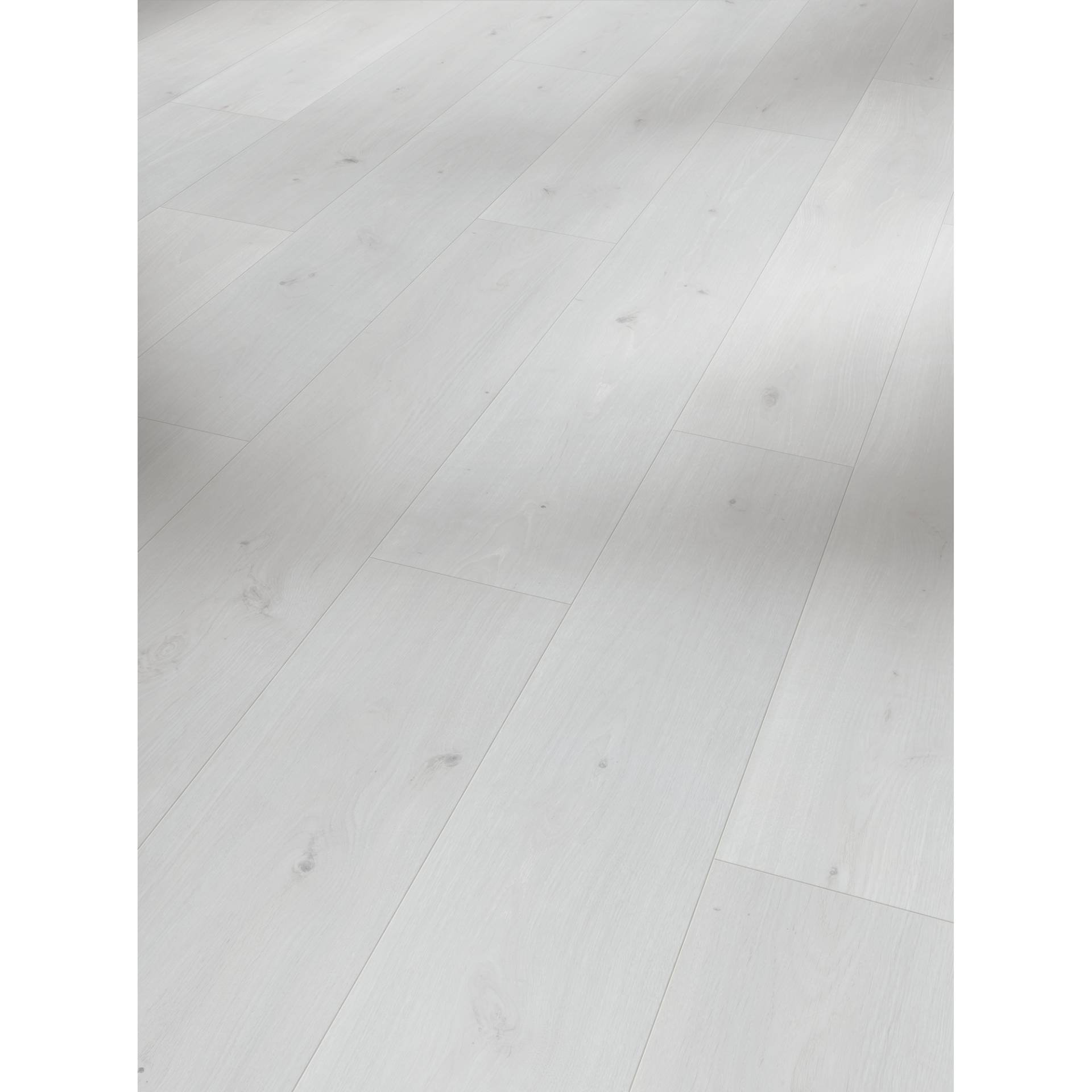 Parador Laminat 'Basic 400' Eiche Natural Mix matt weiß 8 mm Parador Laminat 'Basic 400' Eiche Natural Mix matt weiß 8 mm von Parador