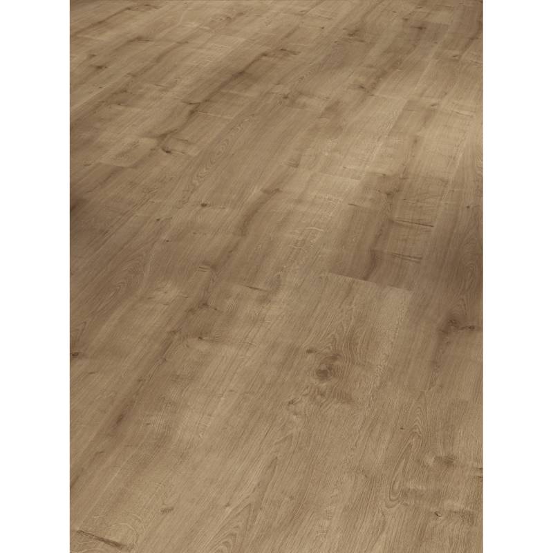 Parador Laminat 'Basic 400' Eiche karamell seidenmatt  dunkelbraun 8 mm von Parador