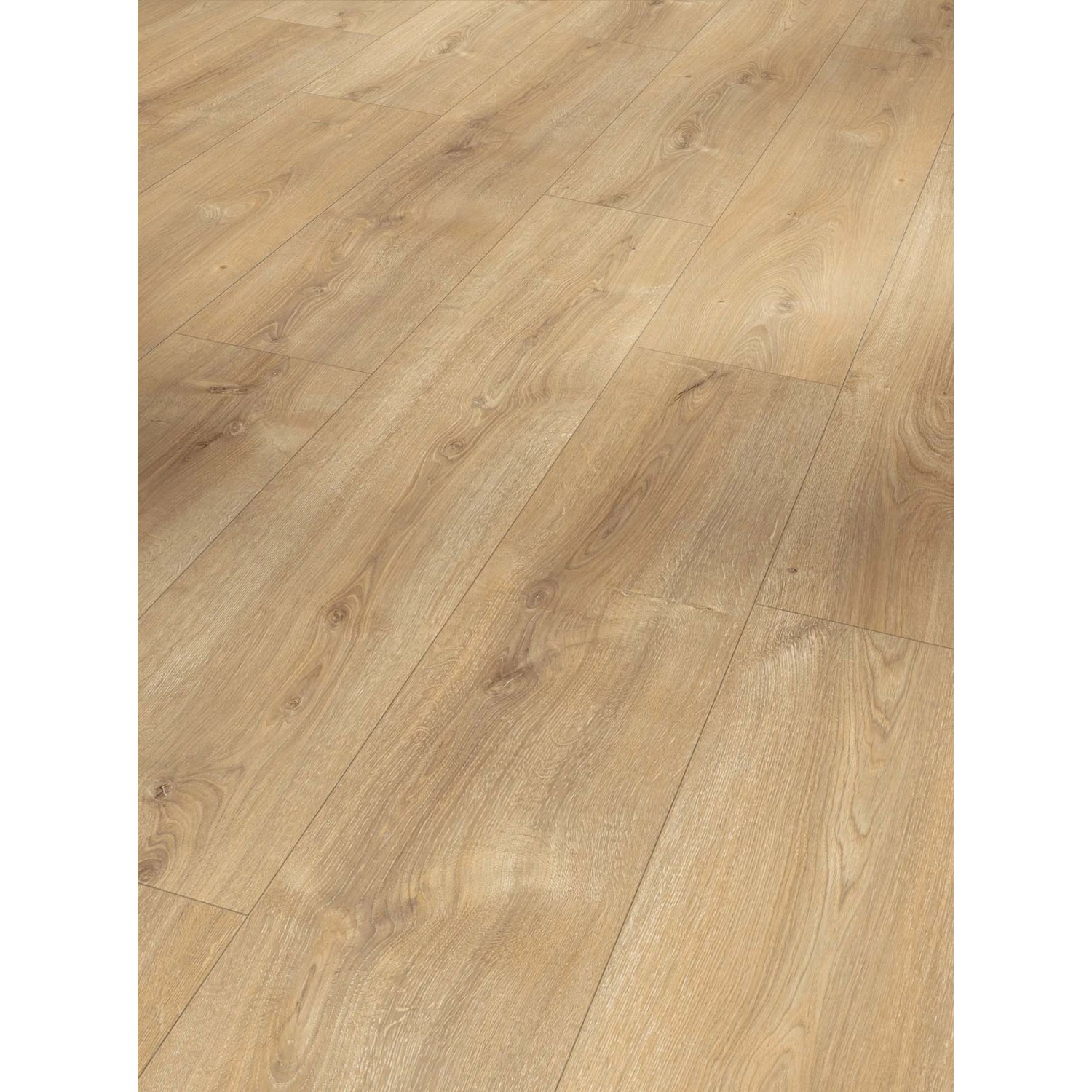 Parador Laminat Basic 600 Eiche Nova Gekälkt Naturstruktur von Parador