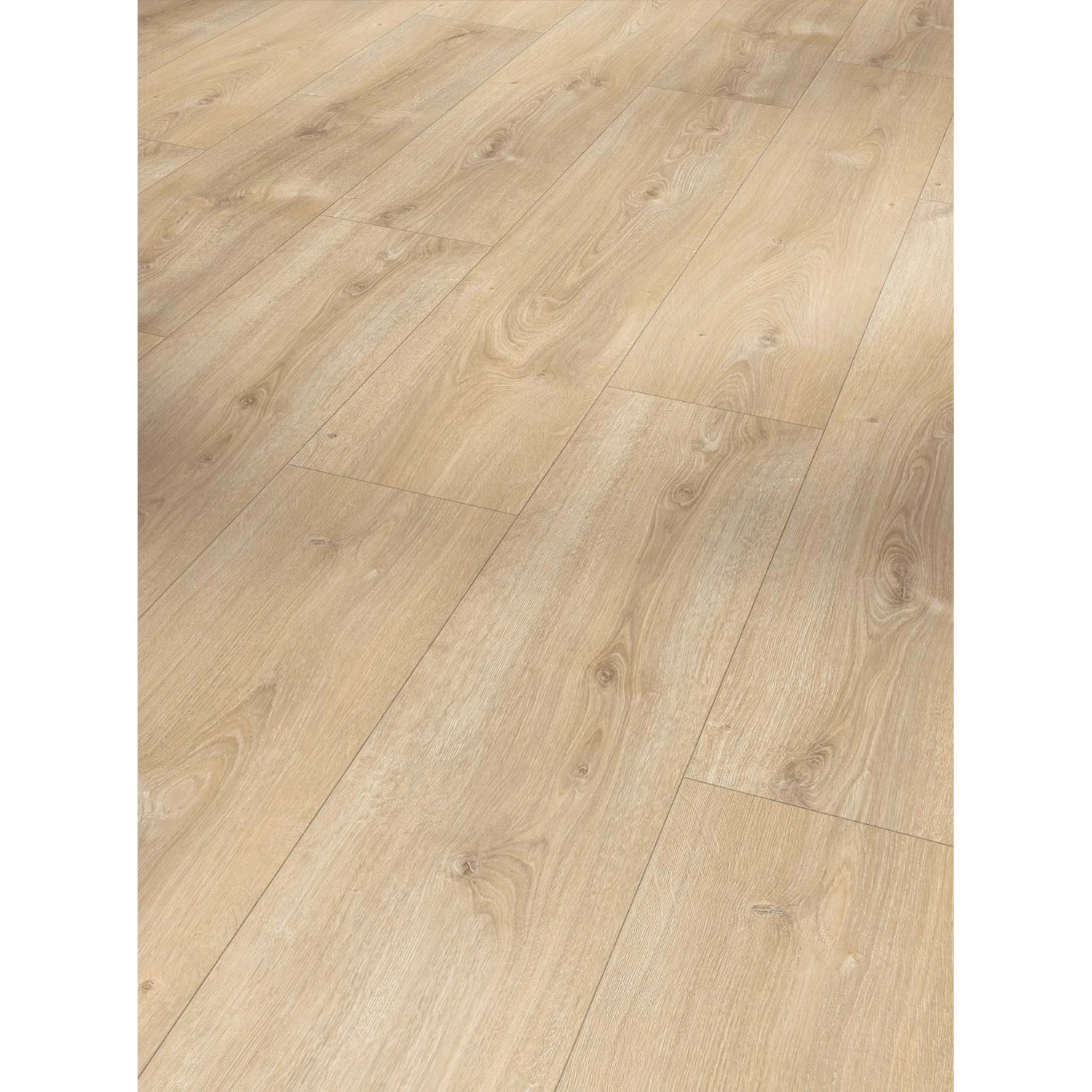 Parador Laminat Basic 600 Eiche Nova Hell Gekälkt Naturstruktur von Parador