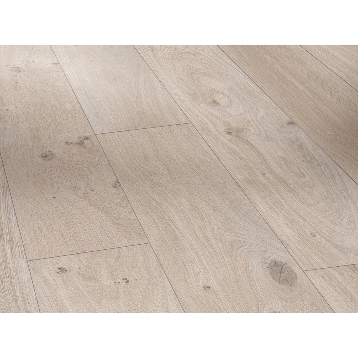 Parador Basic 400 Laminat 8 mm Wasserfest Eiche Natur Grau Parador Basic 400 Laminat 8 mm Wasserfest Eiche Natur Grau von Parador