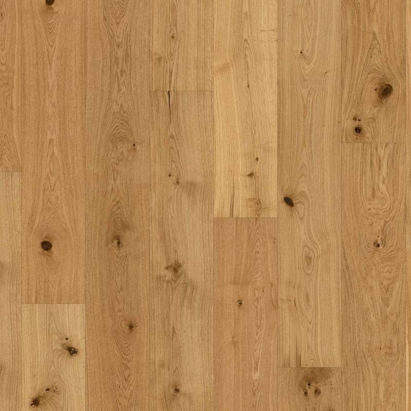 Parador Parkett 'Basic 11-5' Eiche gebürstet matt braun 11,5 mm von Parador