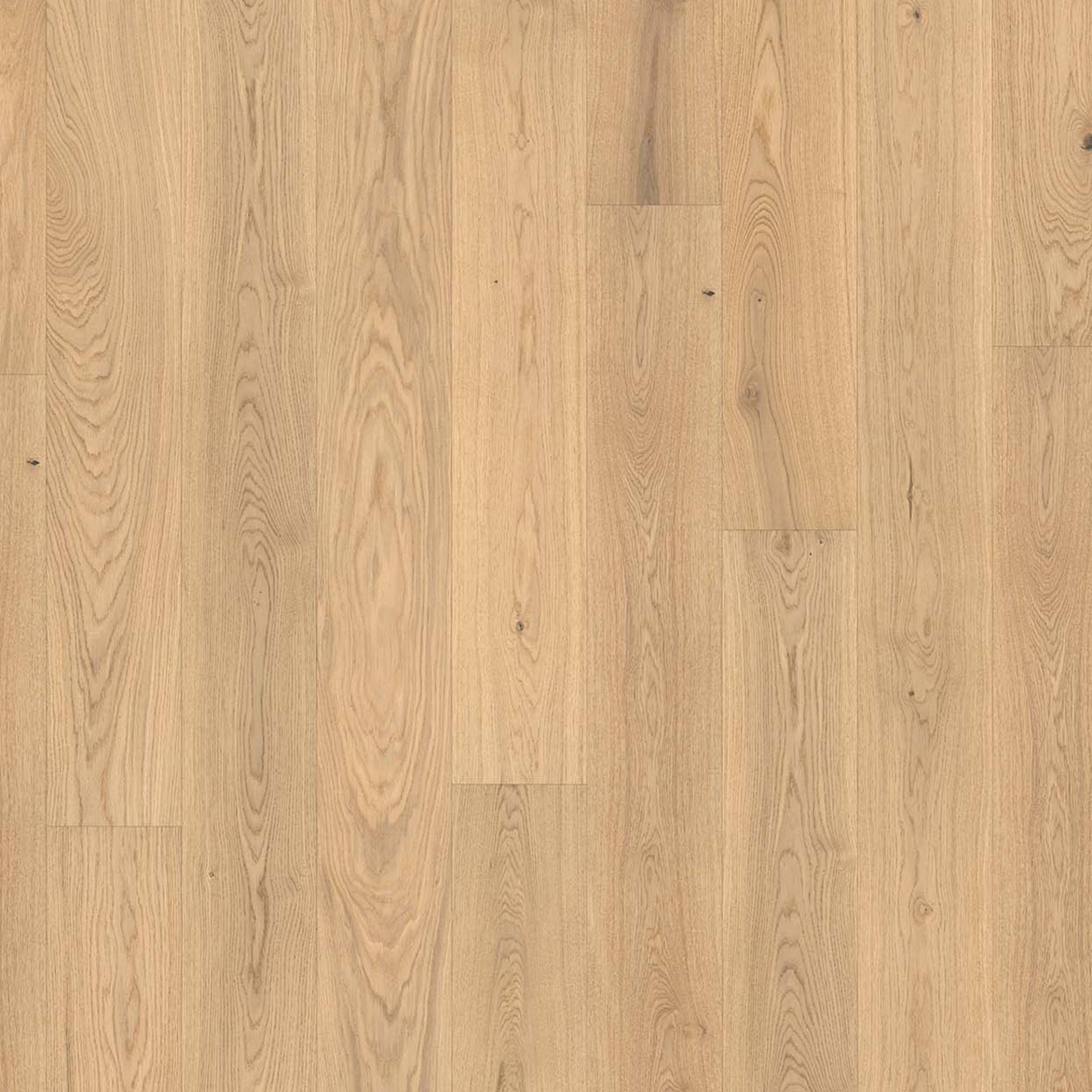 Parador Parkett 'Basic 11-5' Eiche pure matt braun 11,5 mm Parador Parkett 'Basic 11-5' Eiche pure matt braun 11,5 mm von Parador