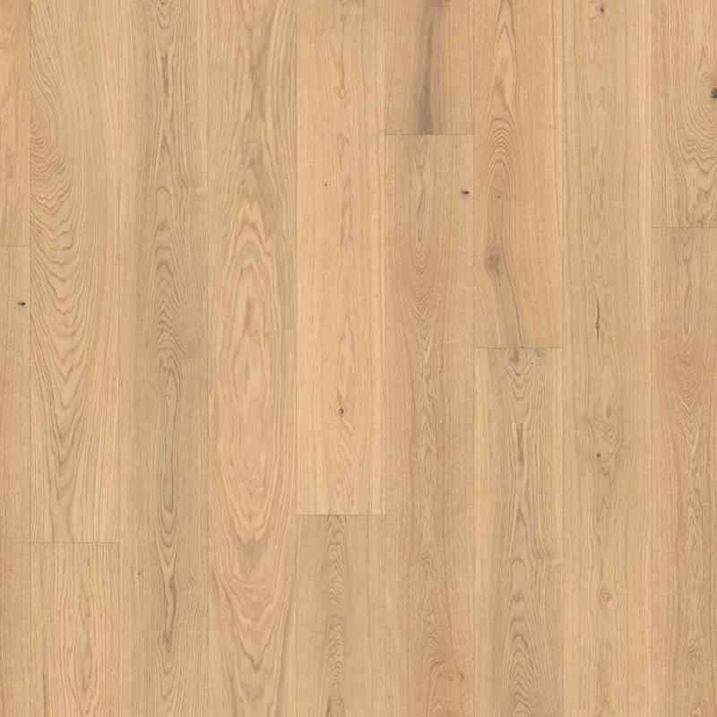 Parador Parkett 'Basic 11-5' Eiche pure matt braun 11,5 mm von Parador