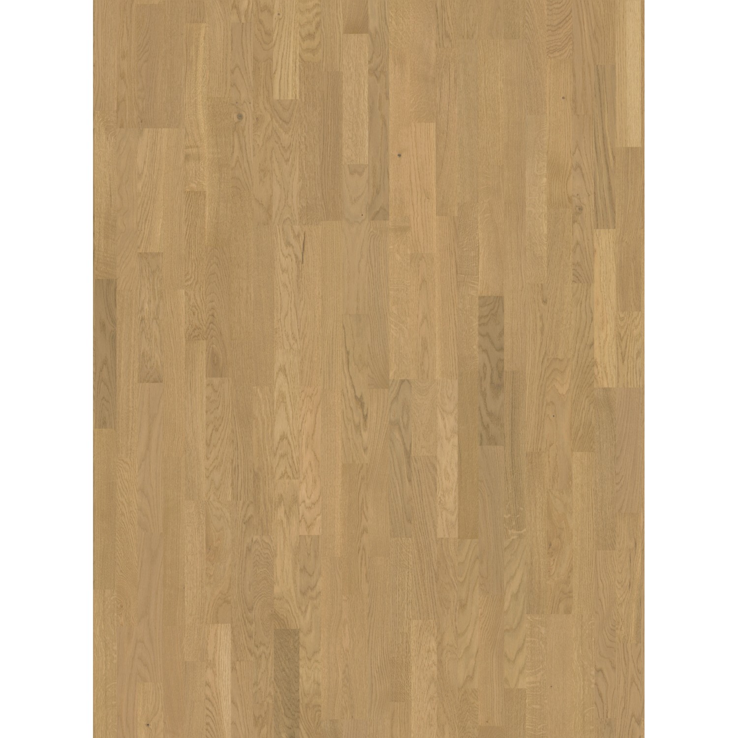Parador Parkett Basic 11-5 Rustikal 3-Stab Eiche Malbec Weiß Leicht Matt Parador Parkett Basic 11-5 Rustikal 3-Stab Eiche Malbec Weiß Leicht Matt von Parador
