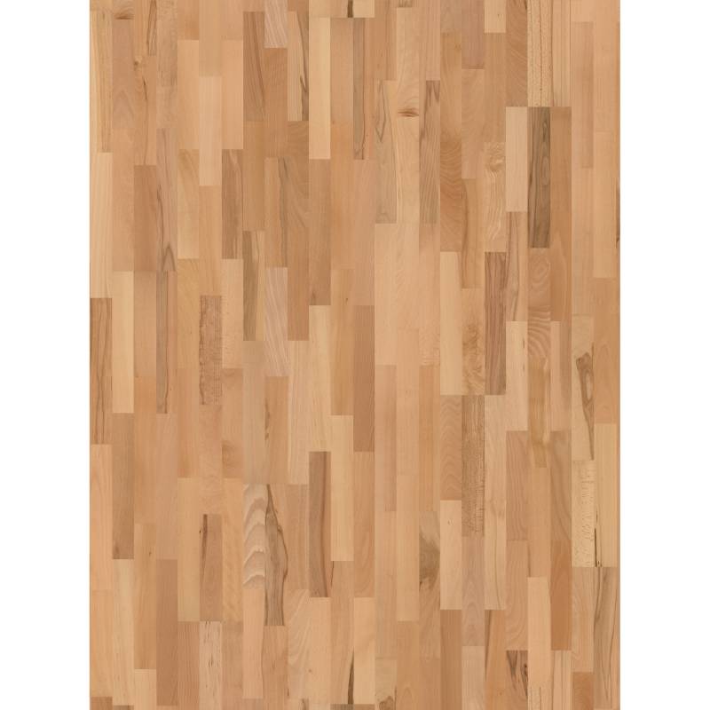 Parador Parkett 'Basic 11-5' Buche Rustikal lackversiegelt matt 11,5 mm von Parador