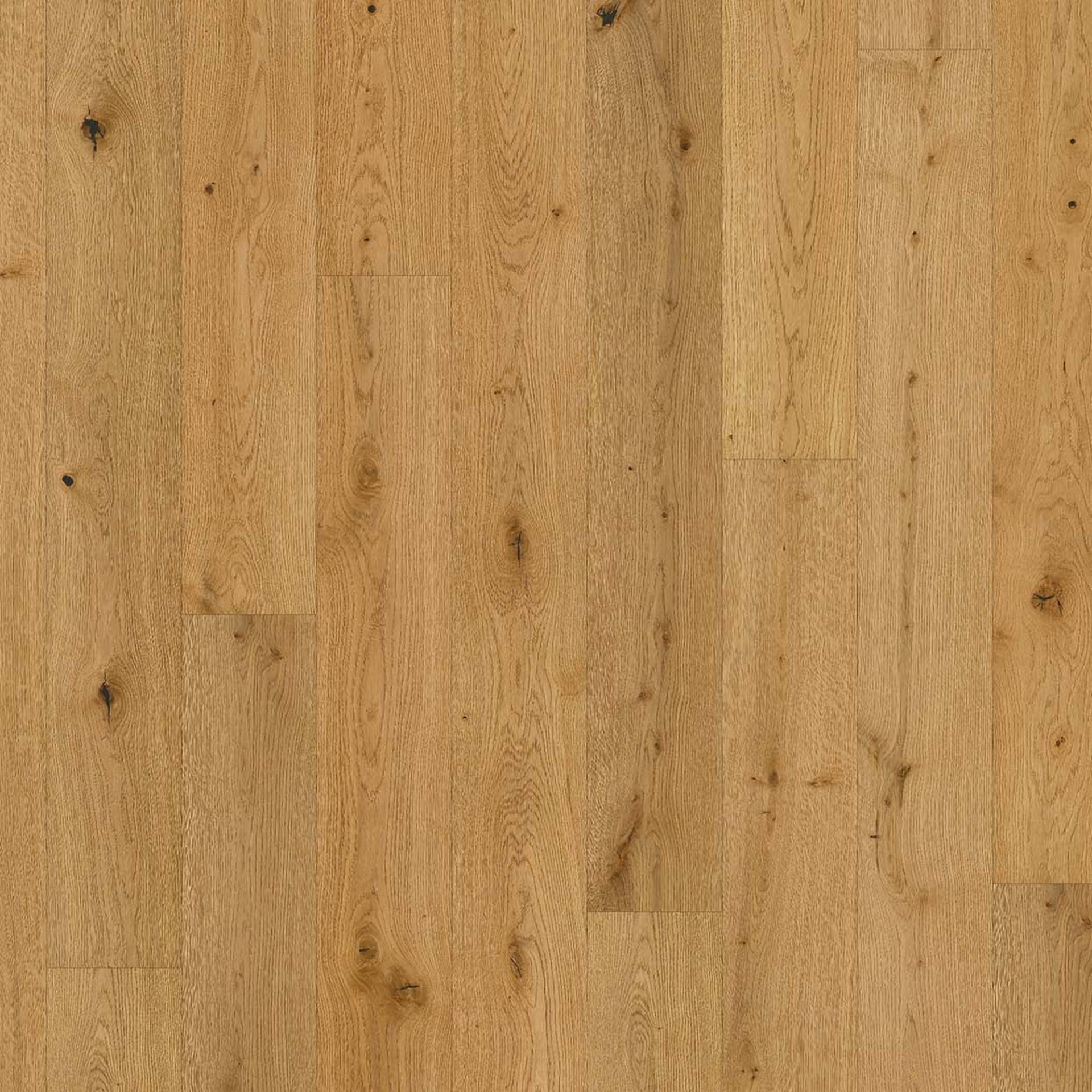 Parador Parkett 'Classic 3060' Eiche naturgeölt plus braun 13 mm Parador Parkett 'Classic 3060' Eiche naturgeölt plus braun 13 mm von Parador