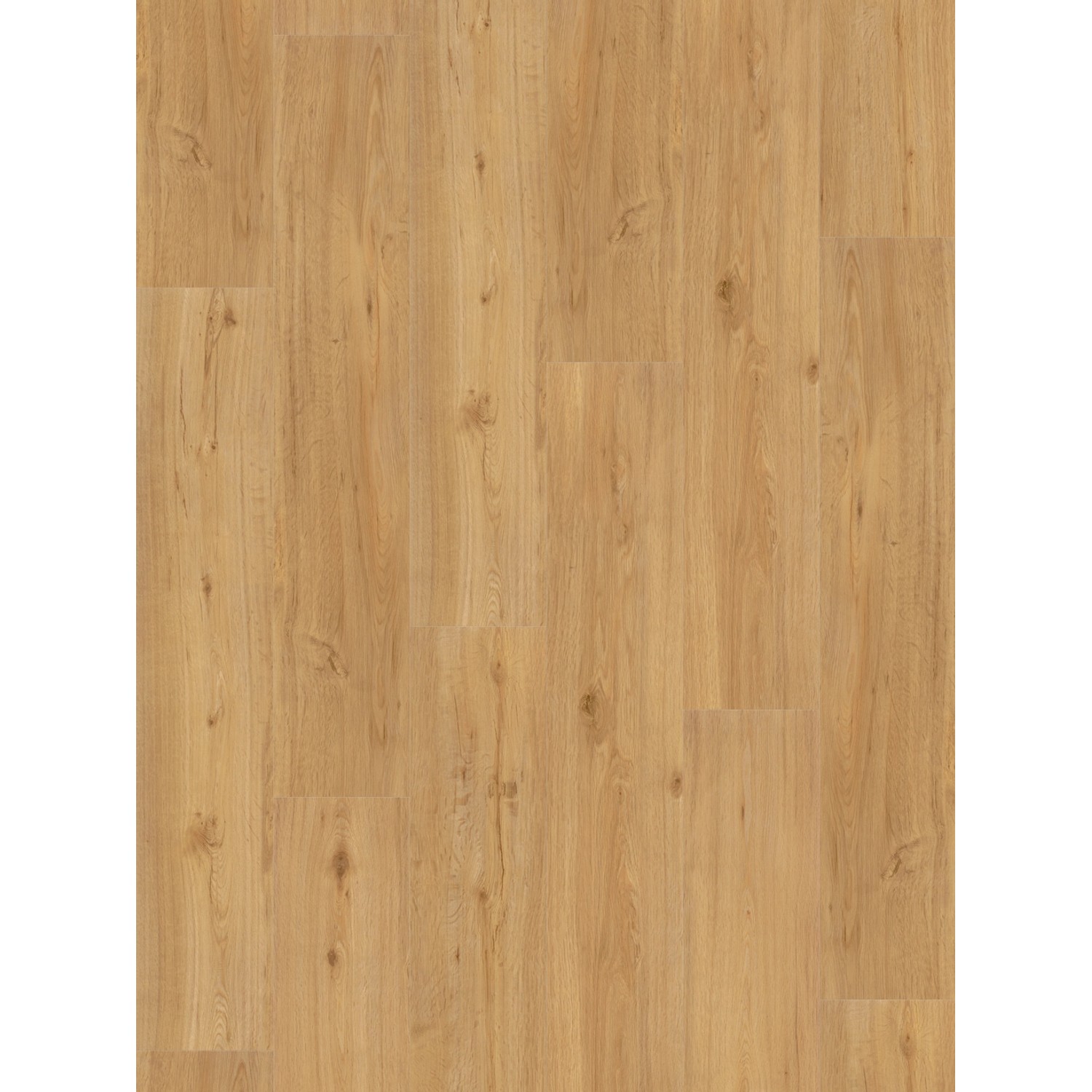 Parador Vinylboden Basic 30 Eiche Landhausdiele Natur Parador Vinylboden Basic 30 Eiche Landhausdiele Natur von Parador