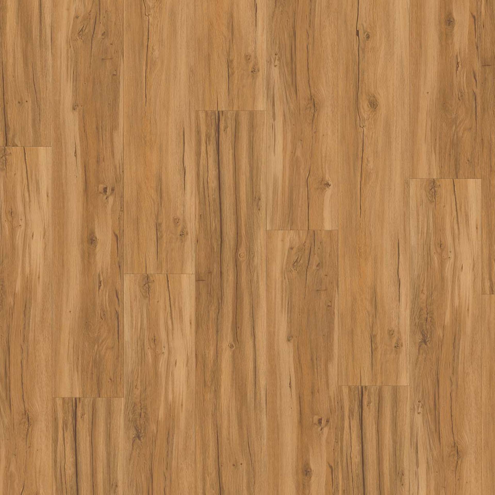 Parador Vinylboden 'Basic 5.3' Eiche Memory Natur braun 5,3 mm Parador Vinylboden 'Basic 5.3' Eiche Memory Natur braun 5,3 mm von Parador