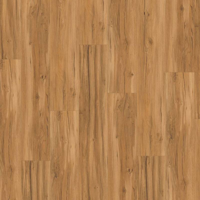 Parador Vinylboden 'Basic 5.3' Eiche Memory Natur braun 5,3 mm von Parador