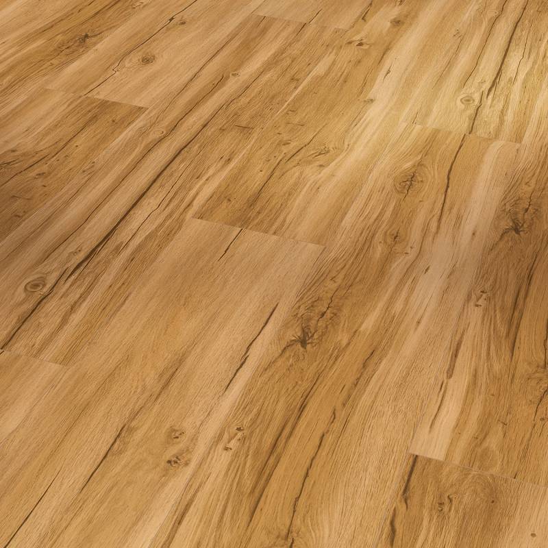 Parador Vinylboden Basic 5.3 Eiche Memory Natur Parador Vinylboden Basic 5.3 Eiche Memory Natur von Parador