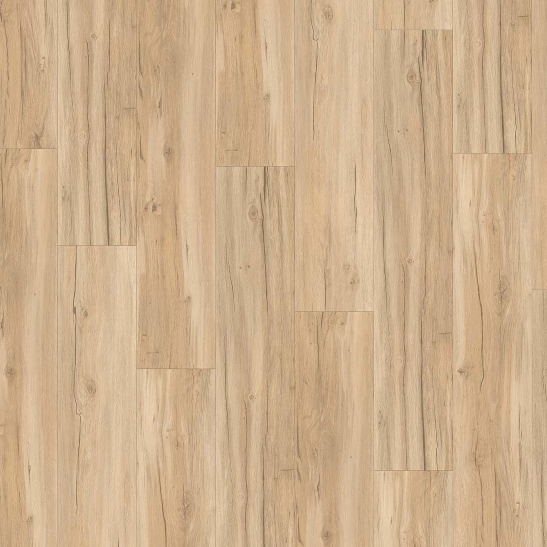 Parador Vinylboden 'Basic 5.3' Eiche Memory geschliffen hellbraun 5,3 mm Parador Vinylboden 'Basic 5.3' Eiche Memory geschliffen hellbraun 5,3 mm von Parador