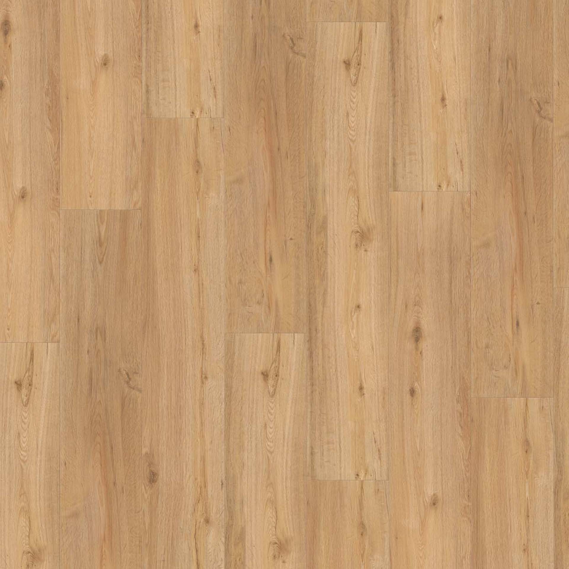 Parador Vinylboden 'Basic 5.3' Eiche Natur braun 5,3 mm Parador Vinylboden 'Basic 5.3' Eiche Natur braun 5,3 mm von Parador