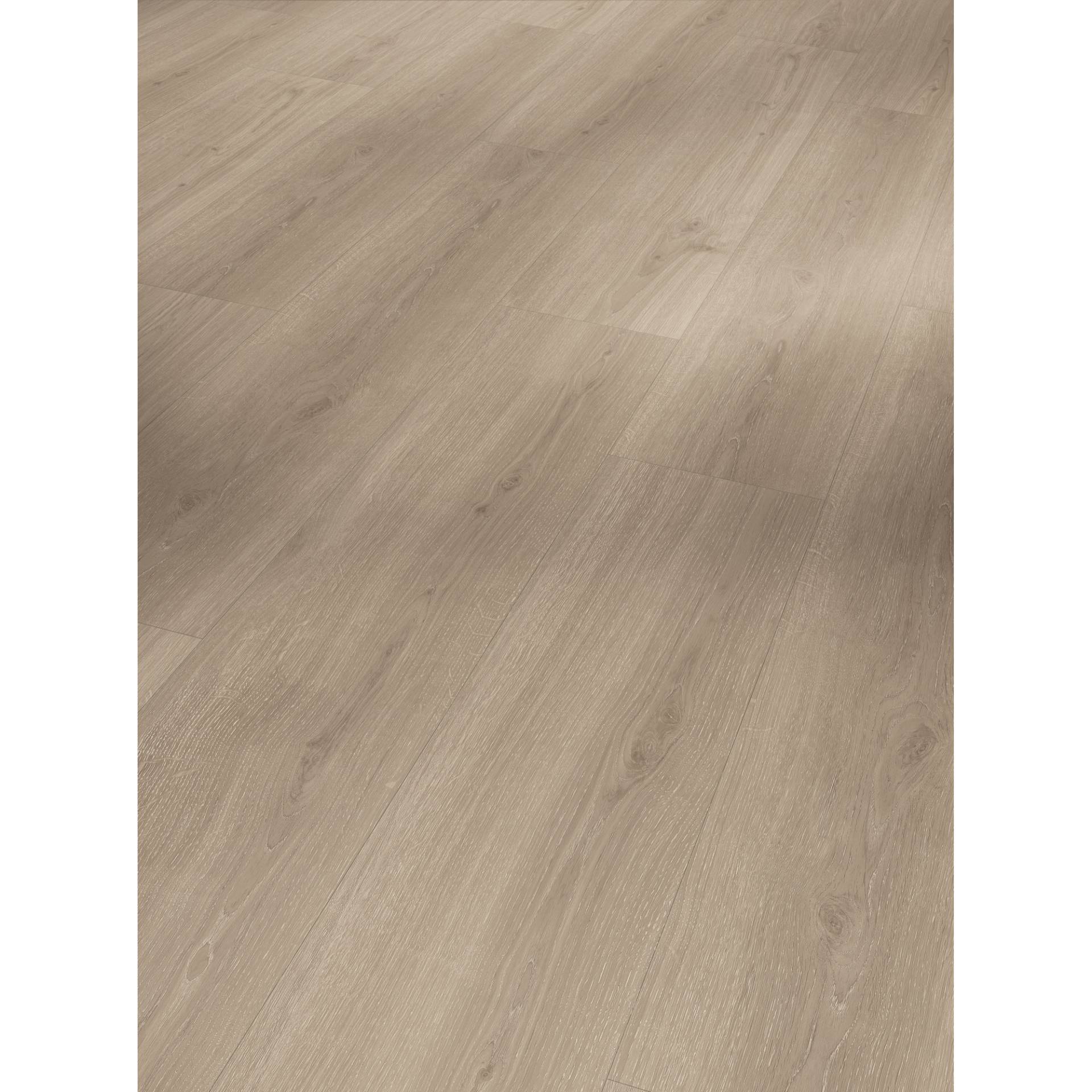 Parador Vinylboden 'Basic 5.3' Eiche Regent Eleganz grau 5,3 mm Parador Vinylboden 'Basic 5.3' Eiche Regent Eleganz grau 5,3 mm von Parador