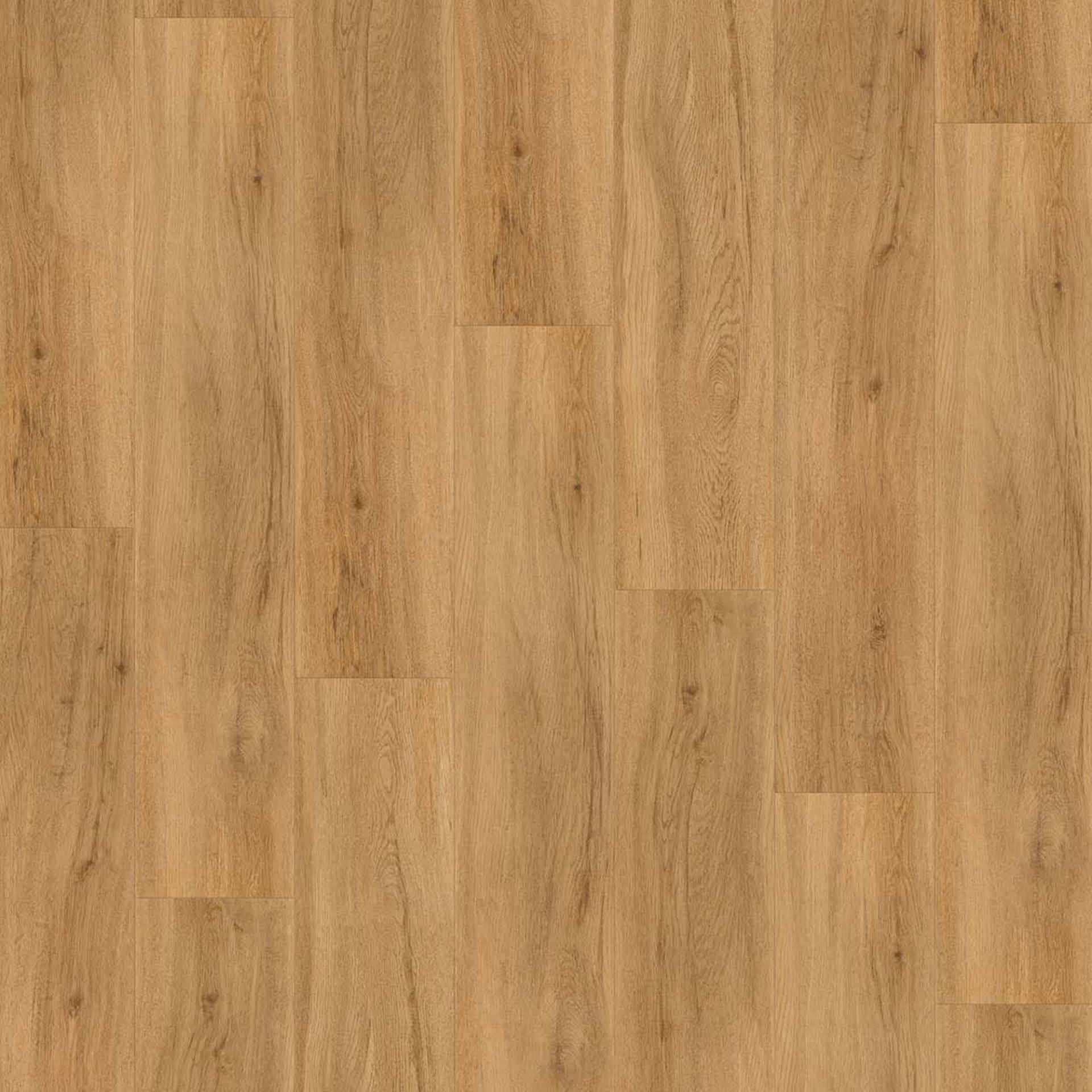 Parador Vinylboden 'Basic 5.3' Eiche Sierra Natur braun 5,3 mm Parador Vinylboden 'Basic 5.3' Eiche Sierra Natur braun 5,3 mm von Parador