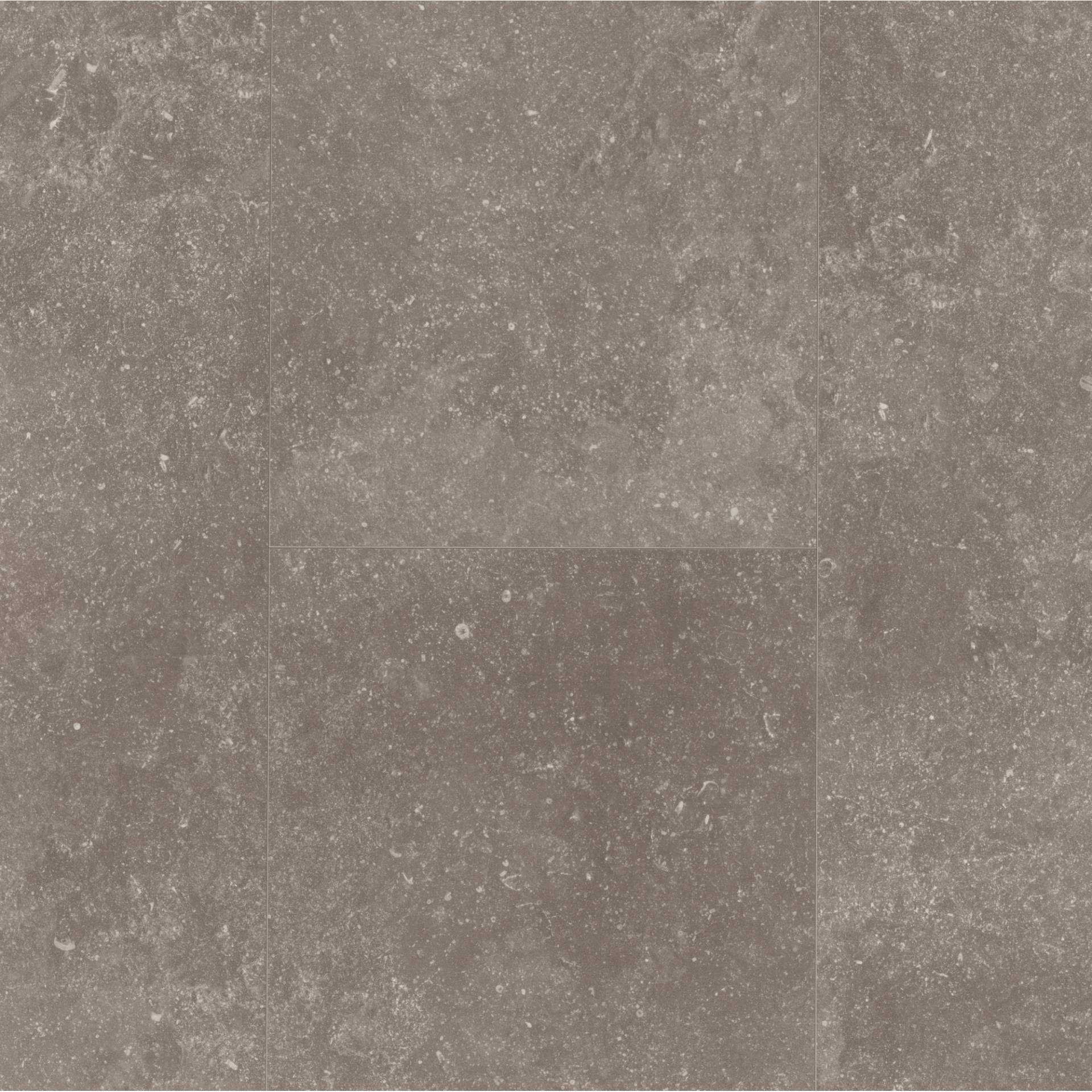 Parador Vinylboden 'Basic' Granit felsengrau Steinstruktur 8 mm Parador Vinylboden 'Basic' Granit felsengrau Steinstruktur 8 mm von Parador