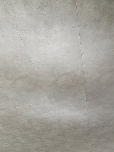 Parador Wandpaneele Deckenpaneele MilanoClick Beton von Parador